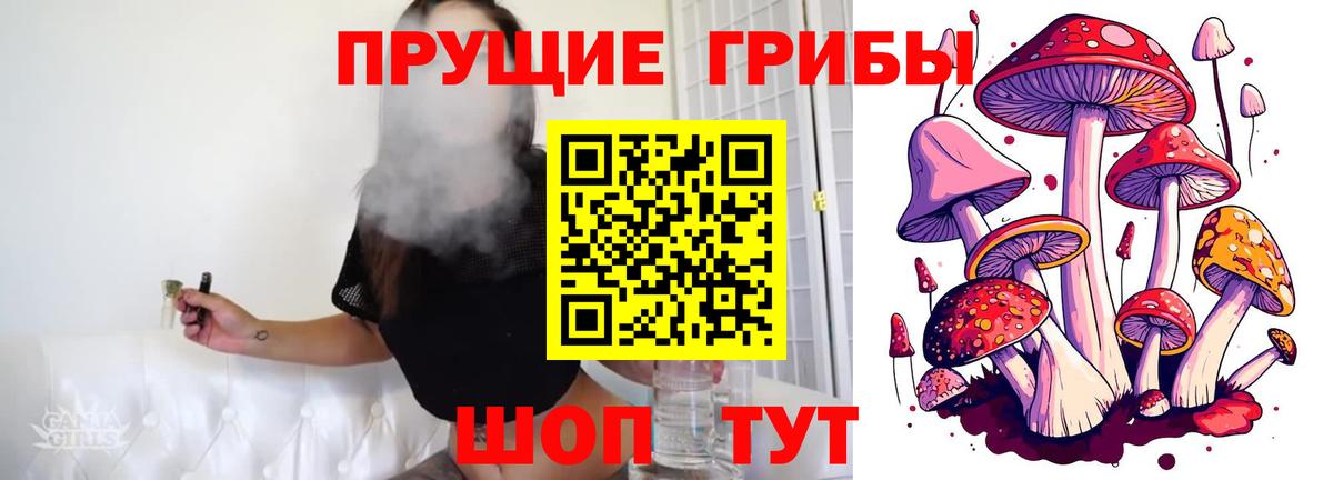 Чусовой  Галлюциногенные грибы Cubensis  Вход с VPN 